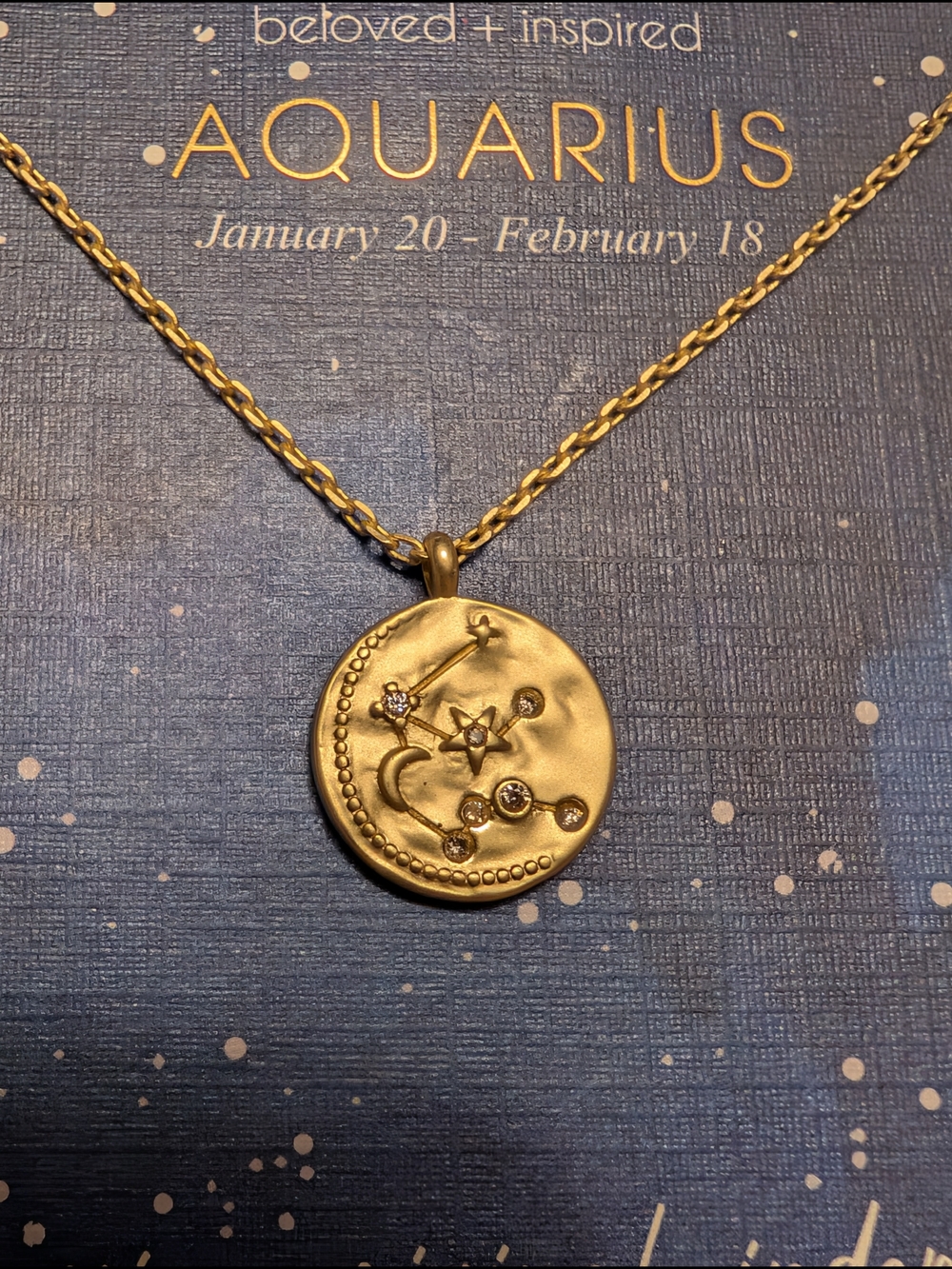 Aquarius 14k Gold Dipped Zodiac Necklace With